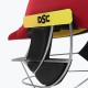 DSC Avenger Pro 2.0 Cricket Helmet, Red, Large
