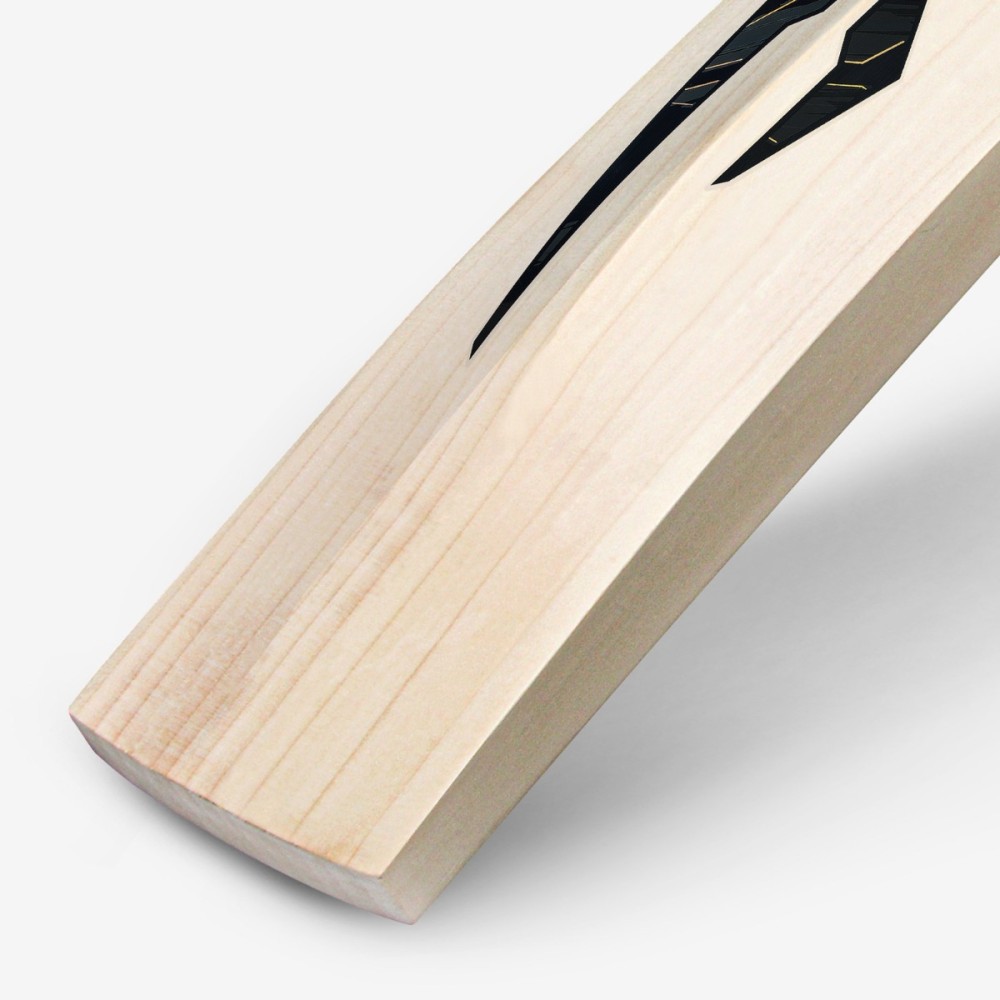 DSC BLAK 100 English Willow Bat, Mens