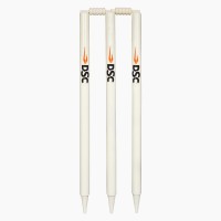 DSC Bleached and Polished Cricket Stumps 