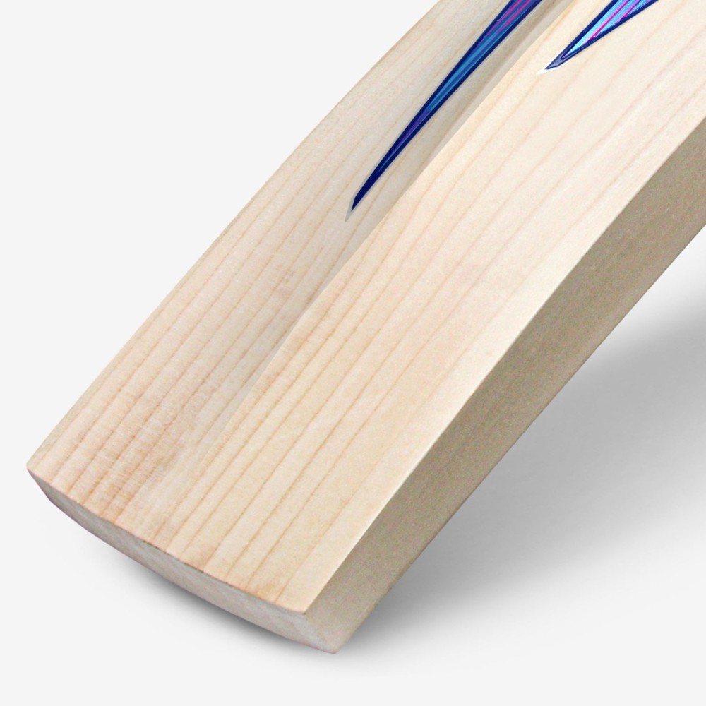 DSC BLU 111 English Willow Bat, Mens