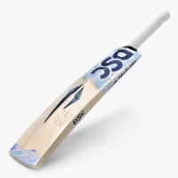 DSC Chris Lynn Cricket Bat, Mens