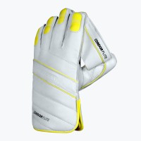 DSC Condor Flite Wicket Keeping Gloves, Boys