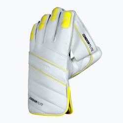 DSC Condor Flite Wicket Keeping Gloves