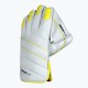 DSC Condor Flite Wicket Keeping Gloves, Boys