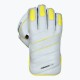 DSC Condor Flite Wicket Keeping Gloves, Boys