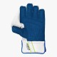 DSC Condor Floater Wicket Keeping Gloves, Boys