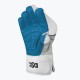 DSC Condor Glider Wicket Keeping Gloves, Boys