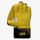 DSC Condor Ruffle Wicket Keeping Gloves, Boys