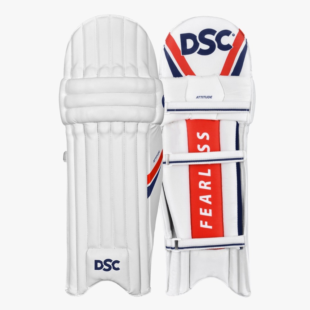 DSC Economy English Willow Cricket Kit