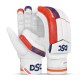 DSC Economy English Willow Cricket Kit