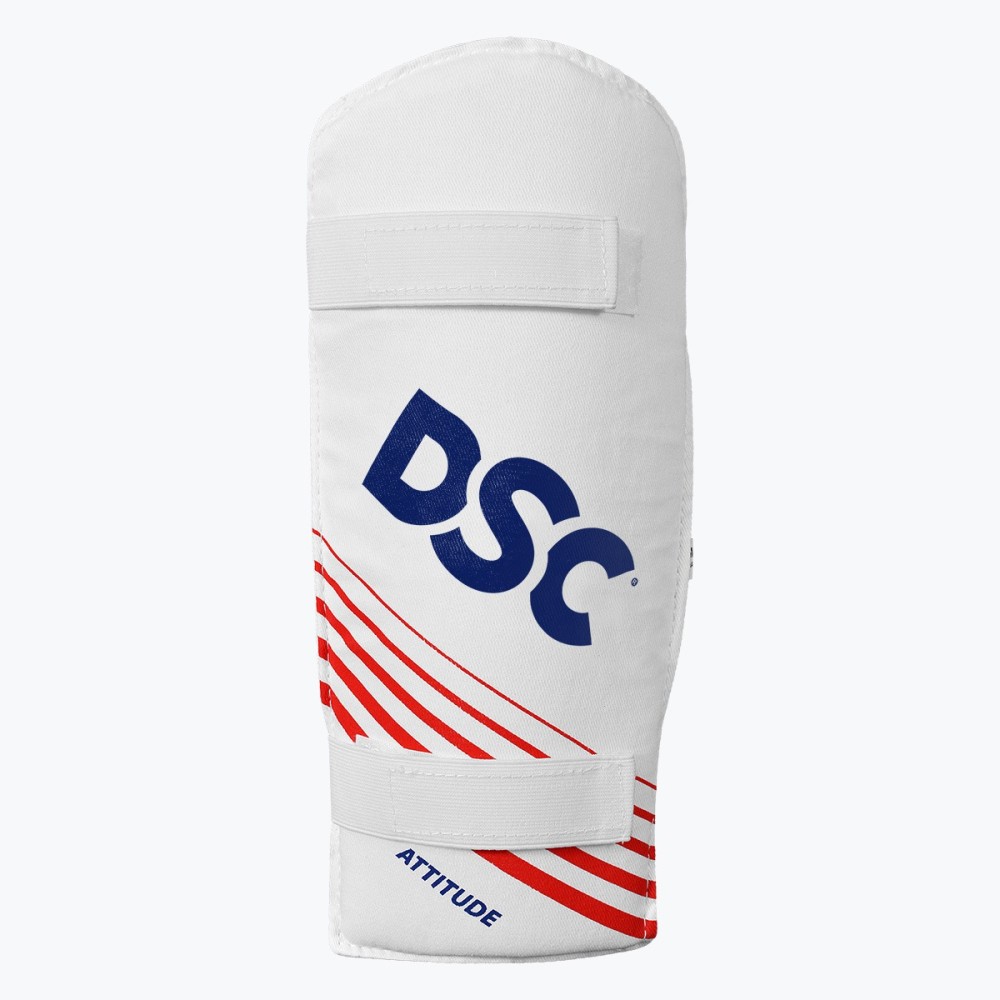 DSC Economy Kashmir Willow Cricket Kit, 3, Left