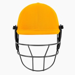 DSC Fort 44 Lite Titanium Cricket Helmet - Custom DSC Fort 44 Lite Titanium Cricket Helmet - Custom