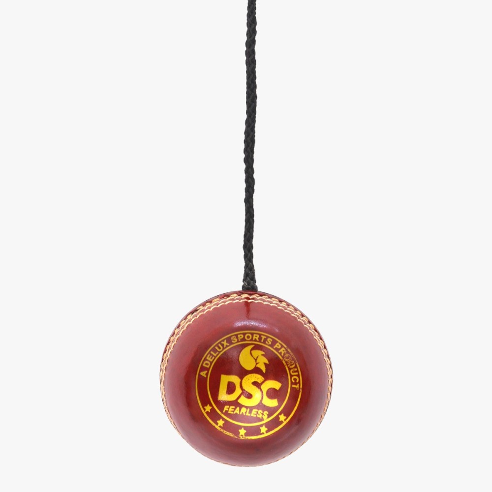 DSC Hanging Leather Ball
