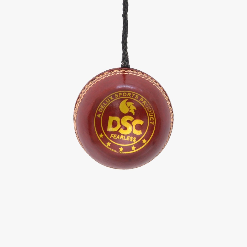 DSC Hanging Leather Ball