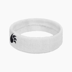 DSC Headband (White)