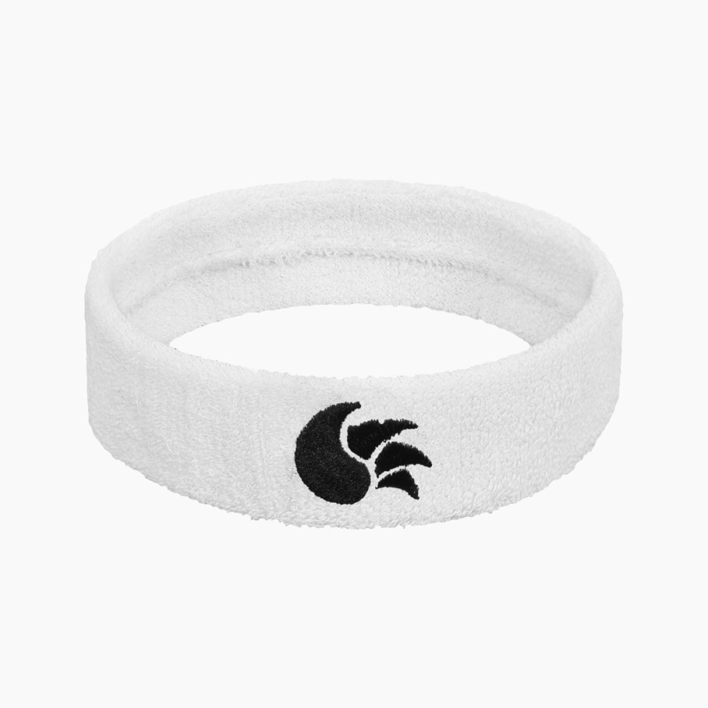 DSC Headband (White)