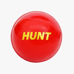 DSC Hunt Synthetic Ball (6 Balls)