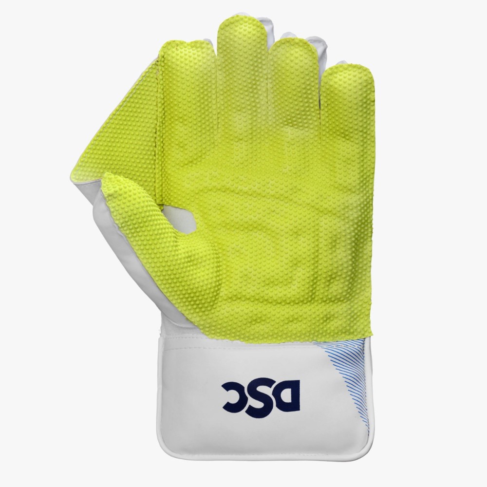 DSC Intense Attitude Wicket Keeping Gloves, Boys DSC Intense Attitude Wicket Keeping Gloves, Boys