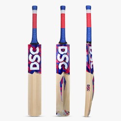 DSC Intense Force Kashmir Willow Bat