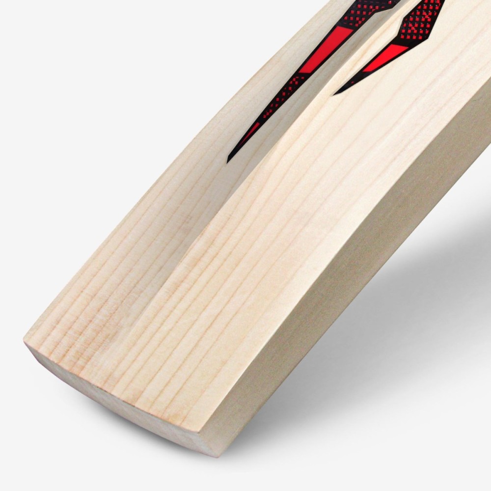 DSC Intense Passion English Willow Bat, Mens