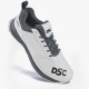 DSC Jaffa 22 Cricket Shoes (White / Grey), White/grey, 10