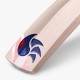 DSC LeedZ English Willow Bat (Made in England), Mens