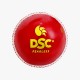 DSC Marathon Incredi Training Ball (6 Balls)