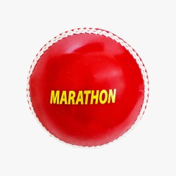 DSC Marathon Incredi Training Ball (6 Balls)