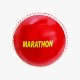 DSC Marathon Incredi Training Ball (6 Balls)