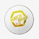 DSC Match Grade Leather Ball, White