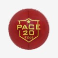 DSC Cricket Leather Ball