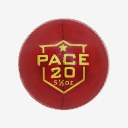 DSC Pace 20 Leather Ball
