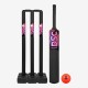 DSC Panther Cricket Set (Black, Junior), Size 4