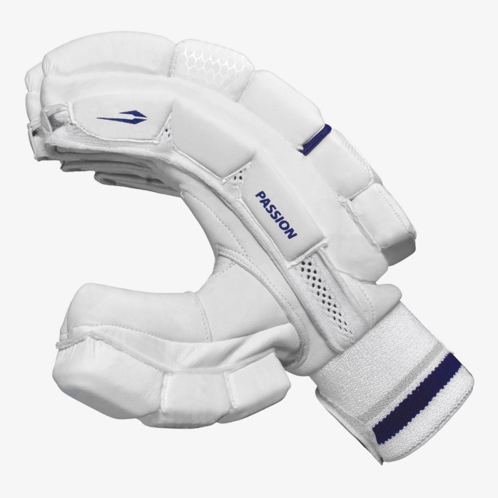 DSC Passion Batting Gloves, Boys Left DSC Passion Batting Gloves, Boys Left