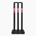 DSC Cricket Stumps