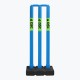 DSC Plastic Cricket Stumps (Mens), Blue