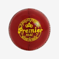 DSC Premier Leather Ball