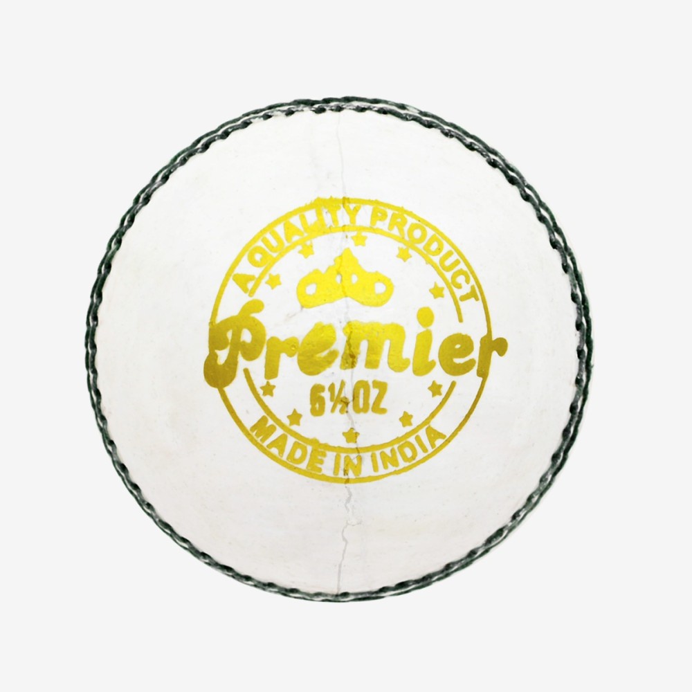 DSC Premier Leather Ball, White
