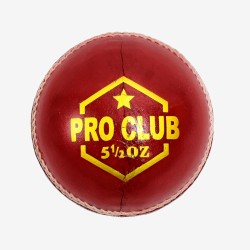 DSC Pro Club Leather Ball