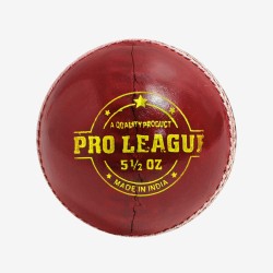 DSC Pro League Leather Ball