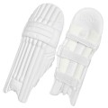 DSC Cricket Batting Pads