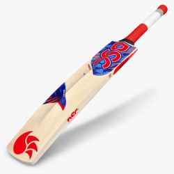DSC Roar Hunter Kashmir Willow Bat