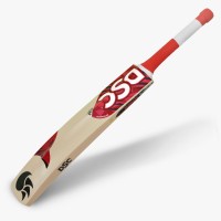 DSC Roar Terra Kashmir Willow Bat, 1