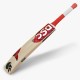 DSC Roar Terra Kashmir Willow Bat, 1
