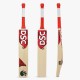 DSC Roar Terra Kashmir Willow Bat, 1