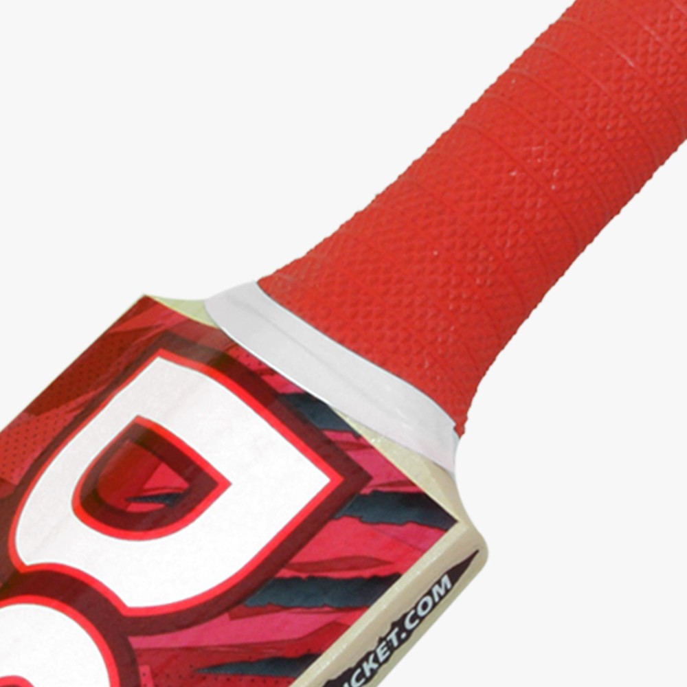 DSC Roar Terra Kashmir Willow Bat, 1