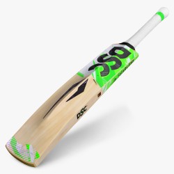 DSC Spliit 55 Kashmir Willow Bat, Mens