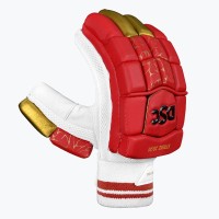 DSC Strike 20/20 Batting Gloves (Red), Mens Left