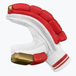 DSC Strike 20/20 Batting Gloves (Red)