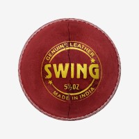 DSC Swing Leather Ball, Red